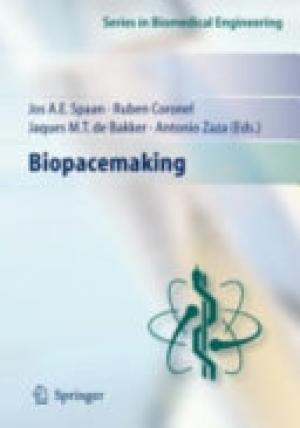 Biopacemaking