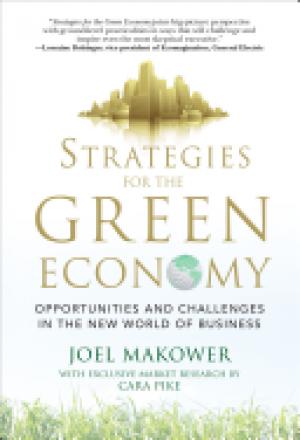 Strategies for the Green Economy