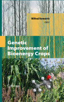 Genetic Improvement of Bioenergy Crops