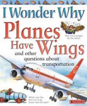 I Wonder Why Planes Have Wings