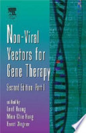 Non-viral Vectors for Gene Therapy