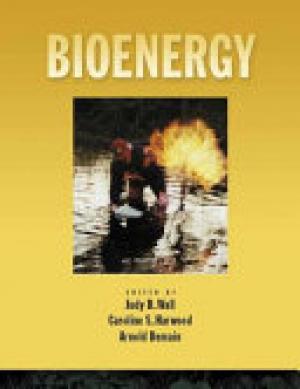 Bioenergy