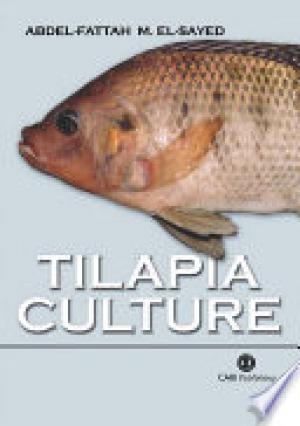 Tilapia Culture