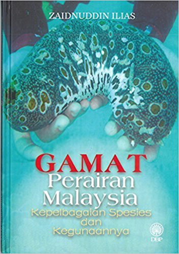 Gamat perairan Malaysia