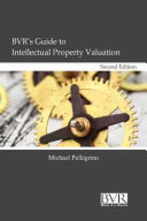 BVR's Guide to Intellectual Property Valuation