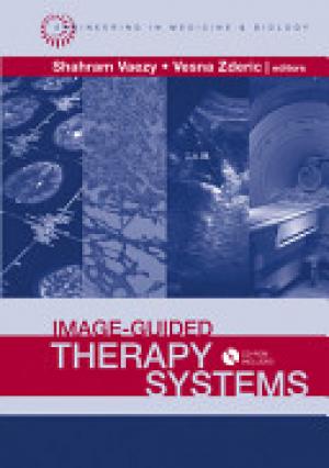 Image-guided Therapy Systems