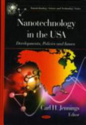 Nanotechnology in the USA