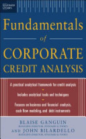 Standard & Poor's Fundamentals of Corporate Credit Analysis